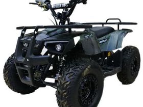 Электроквадроцикл MOTAX Grizlik X16 New E1000 Big Wheel