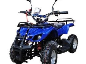 Квадроцикл RAPTOR Max Pro 49cc (2024)