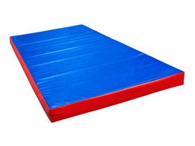 Мат спортивный жесткий 2000х1000х40mm (ПВВ120 кг/м3, вин.кожа)