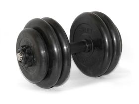 Гантель разборная МВ Barbell 26.5 кг, 26 мм