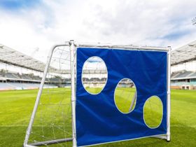 Ворота игровые DFC GOAL120T 120x80x55cm с тентом для отрабатывания ударов