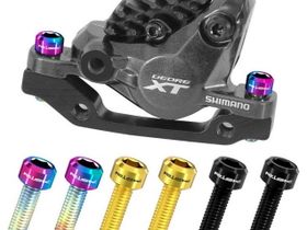 Болты титановые RISK М6RISK мм. RT032-033-034 для калиперов. 2 шт (20 мм, Хамелеон)