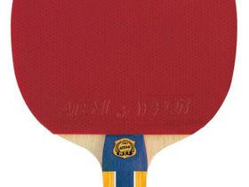 Ракетка для настольного тенниса Atemi PRO 1000 CV