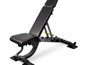 Универсальная регулируемая скамья BRONZE GYM BR-1008