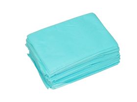 Простыня медицинская 200*90 см, из нетканого материала спанбонд 30 г/м2 (мятная), 10 шт/упаковка (штучная укладка), Россия (Акционерное общество "Чистовье") 604-308