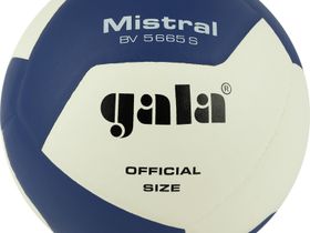 Мяч волейбольный GALA Mistral 12, размер 5
