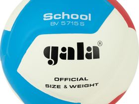 Мяч волейбольный GALA School 12, размер 5