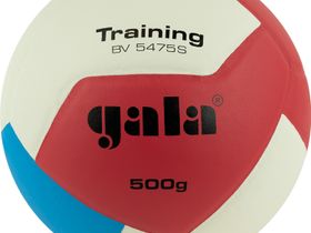 Мяч волейбольный GALA Training Heavy 12, утяжеленный, размер 5