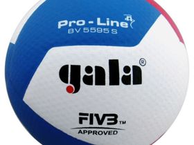 Мяч волейбольный GALA Pro-Line 12, FIVB, профессиональный, размер 5