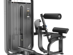 Разгибание спины DHZ E-7031 (cтек 110 кг)