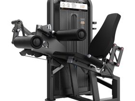 Разгибание/Сгибание ног сидя DHZ E-5086 (cтек 110 кг)