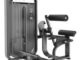 Разгибание спины DHZ E-7031 (cтек 135 кг)