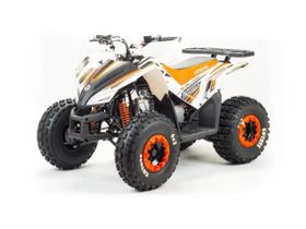Квадроцикл MOTOLAND 125 Coyote (2021 Г.)