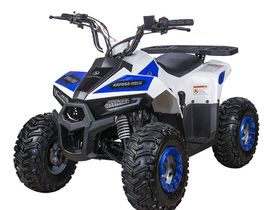 Квадроцикл YACOTA Raposa