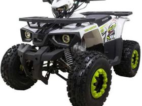 Квадроцикл AVANTIS Hunter 8 New