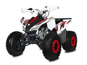 Квадроцикл SHARMAX Cross 180