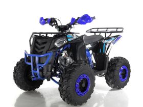 Квадроцикл WELS Thunder EVO