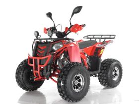 Квадроцикл RAPTOR Madman 200