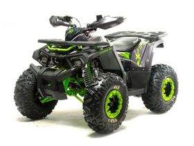 Квадроцикл MOTOLAND Wild X Баланс. вал. (2021 Г.)