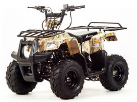 Квадроцикл MOTOLAND 110 Rider (2021 Г.)