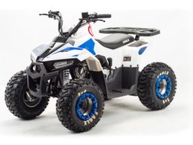 Квадроцикл MOTOLAND 110 Eagle (2021 Г.)