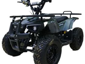 Электроквадроцикл MOTAX Grizlik X16 New E1000 Big Wheel