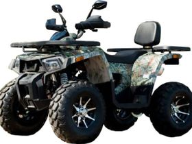 Квадроцикл YAMAHA Shark 300cc