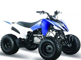 Квадроцикл МОТОМИР Pantera 125