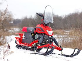 Снегоход IRBIS Dingo T200