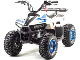Квадроцикл MZ Eagle 110