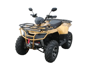 Квадроцикл IRBIS ATV 250 Premium
