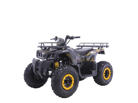 Квадроцикл MOTAX Grizlik T 200