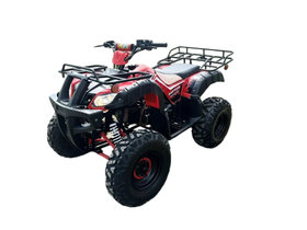 Квадроцикл RAPTOR Madman 200 All