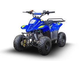 Квадроцикл TIGER 150 Universal RX