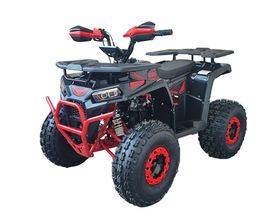 Квадроцикл YACOTA Vektor 125