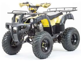 Квадроцикл MOTOLAND 250 Adventure (2021 Г.)