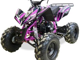 Квадроцикл MOTAX ATV T-Rex Super LUX 50 cc