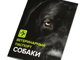 Паспорт ветеринарный для собак Sater
