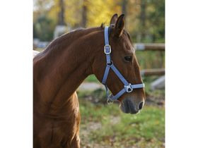 Недоуздок 510257-F Nortоn Spring (ассорт)V