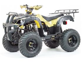 Квадроцикл STALKER 250