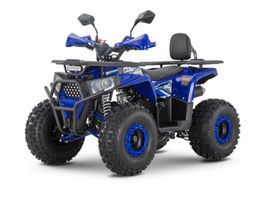 Квадроцикл WELS Thunder Trail 125 PRO