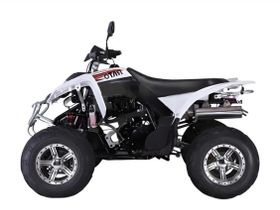 Квадроцикл RATO RТ250SТ-2