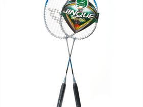 Набор для бадминтона DOUBLE FISH JINQUE LT-119+, длина 660мм,2 ракетки в чехле