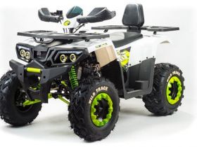 Квадроцикл MOTOLAND ATV 200 Wild Track