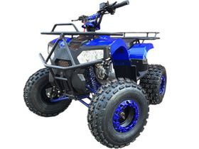 Квадроцикл MOWGLI Bold 8