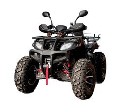Квадроцикл GRIZZLY 250