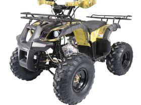 Квадроцикл ATV Termit TT Cross