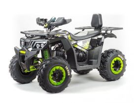 Квадроцикл BISON Track LUX