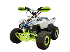 Квадроцикл RACER RC 110 Coyote