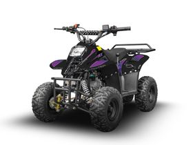 Квадроцикл RAPTOR 150 Universal